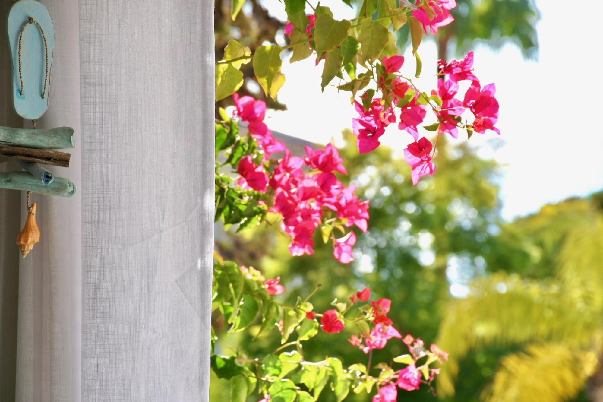 Aquamarine - Gemstone Getaway Apartment วาเลโดโลโบ ภายนอก รูปภาพ